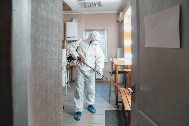 Best Mold-Related Health Consultation  in Ewa Beach, HI
