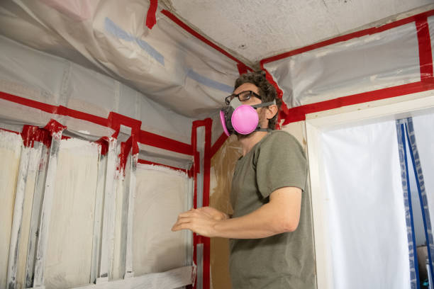 Best Mold Documentation for Insurance Claims  in Ewa Beach, HI