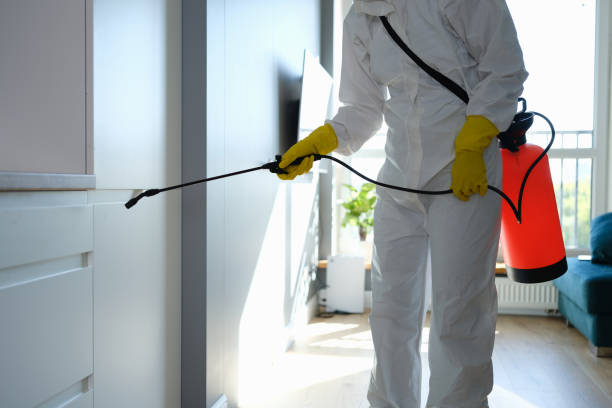 Best Biohazard Mold Removal  in Ewa Beach, HI