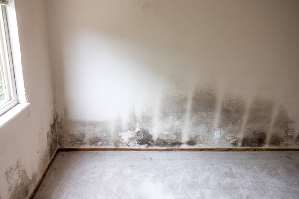 Best Indoor Air Quality Assessment  in Ewa Beach, HI